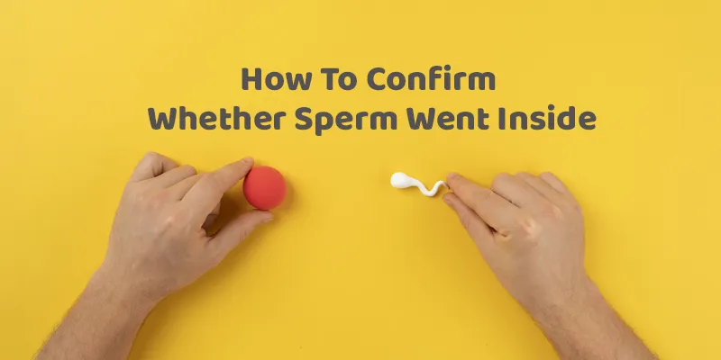 How To Confirm Whether Sperm Went Inside