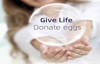 10 important questions to ask before becoming an egg donor