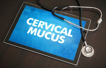 CERVICAL MUCUS METHOD