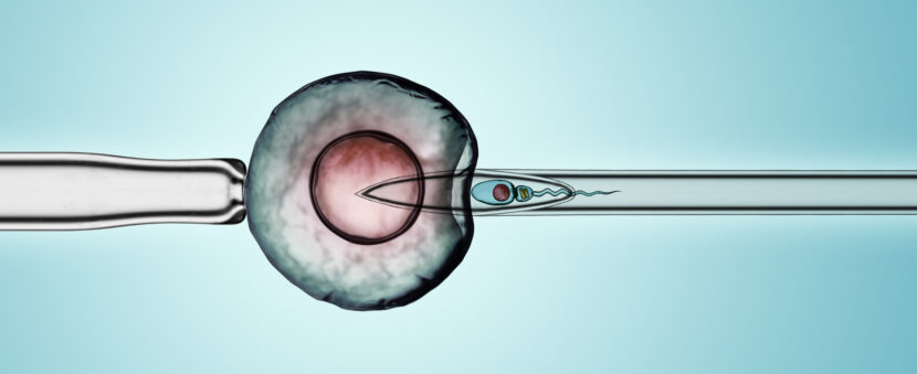 ICSI Or Regular Insemination: Which Is the Better Option