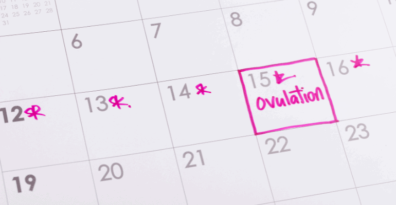 All about ovulation cycles and tests