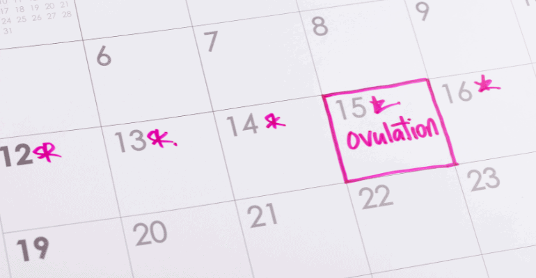 Track Ovulation & Fertility Window for Better Conception Chances