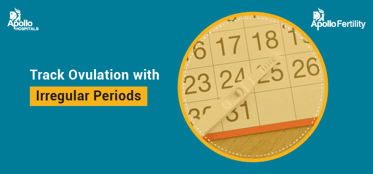 Track Ovulation with Irregular Periods How to Make Justified Predictions?