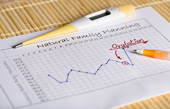 Basal body temperature and ovulation