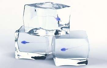 All You Need to Know About Sperm Freezing