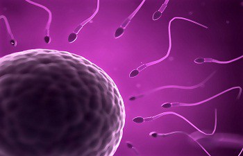 Your Sperm Health- A Guide