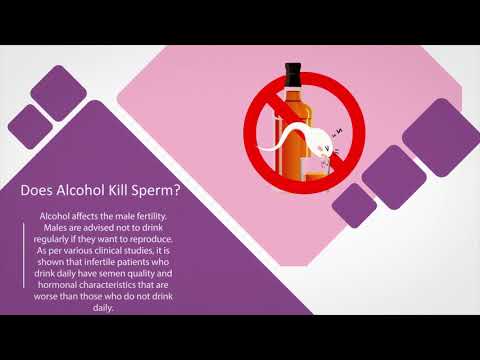 Does Strong Alcohol Kill Sperm inside A Female?