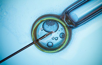 40 years of In Vitro Fertilization