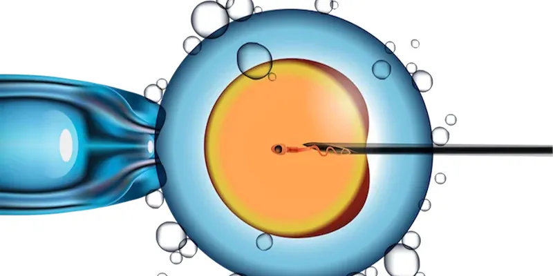 Recent Advances in IVF Treatment 