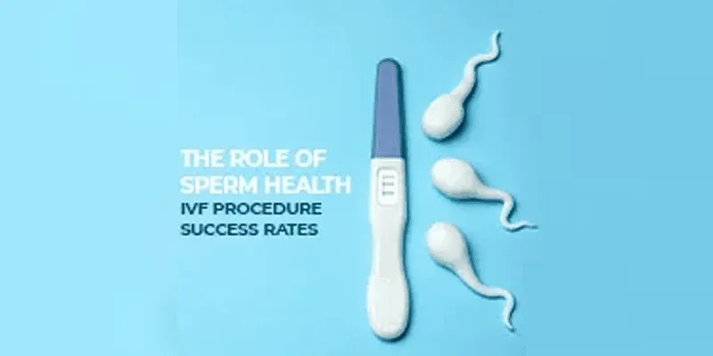 The Role of Sperm Health in IVF Procedure Success Rates