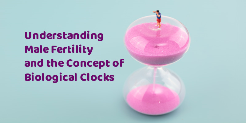 Do Men Have Biological Clocks-What Is a Biological Clock?