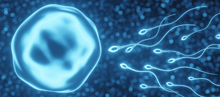 Treating Azoospermia with Intracytoplasmic Sperm Injection
