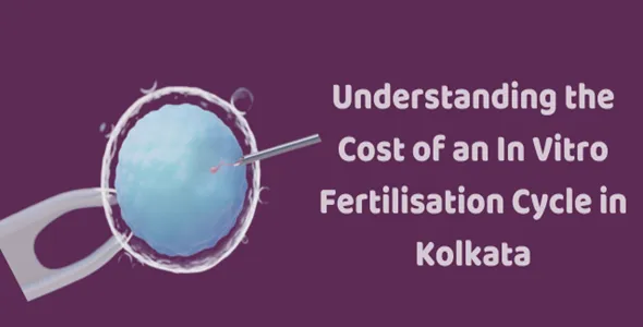 Understanding the Cost of an In Vitro Fertilisation Cycle in Kolkata