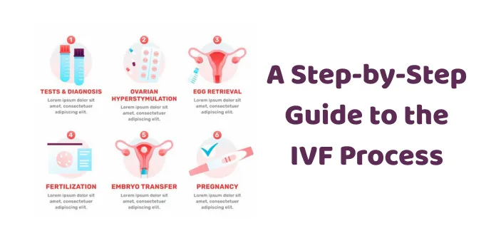 A Step-by-Step Guide to the IVF Process 