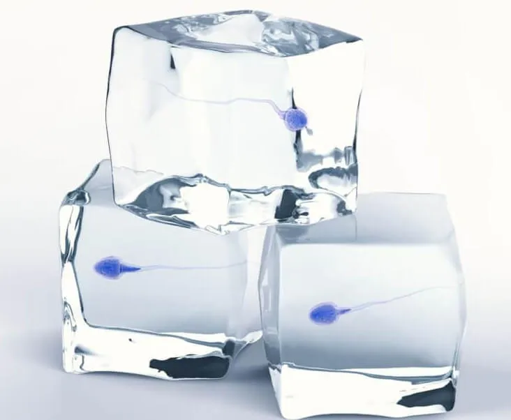 Fertility Preservation in Males with Cancer