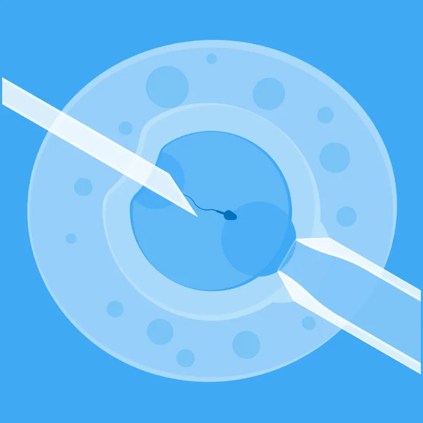 9 Things to know about egg freezing for a later pregnancy