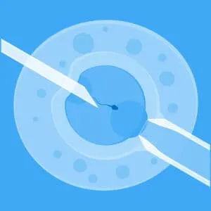 All You Need to Know About Oocyte Vitrification