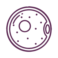 Oocyte Vitrification